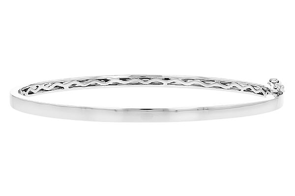 H309-99100: BANGLE (D226-31855 W/ CHANNEL FILLED IN & NO DIA)